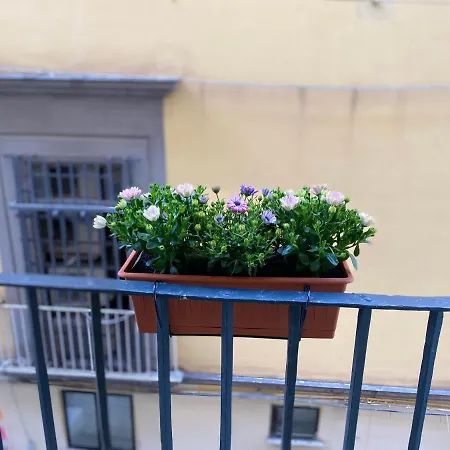 Casa Tre Re アパート *